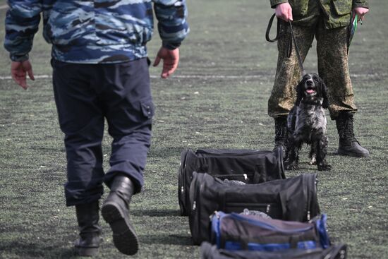 Russia Customs Dog Handlers Competition