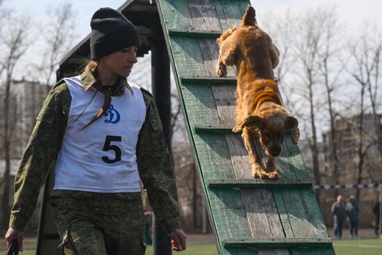 Russia Customs Dog Handlers Competition