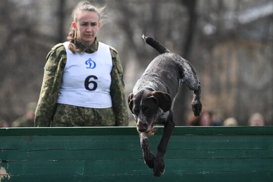 Russia Customs Dog Handlers Competition