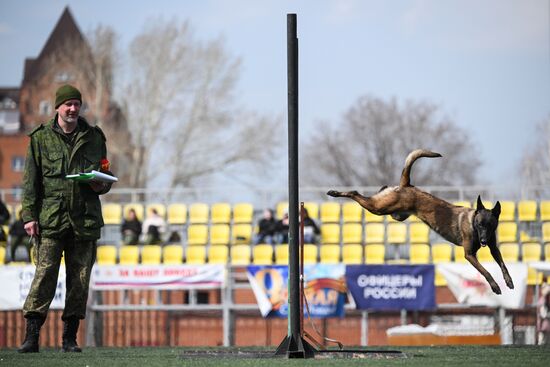 Russia Customs Dog Handlers Competition
