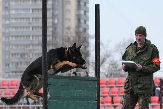 Russia Customs Dog Handlers Competition