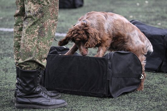Russia Customs Dog Handlers Competition