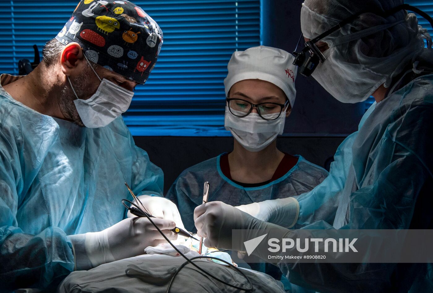 Russia Medical Education Vascular Surgery