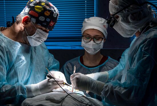 Russia Medical Education Vascular Surgery