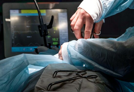 Russia Medical Education Vascular Surgery