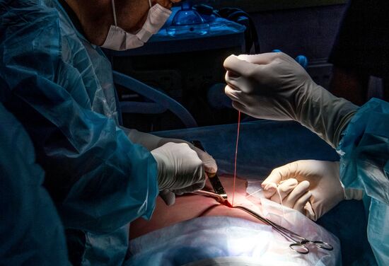 Russia Medical Education Vascular Surgery