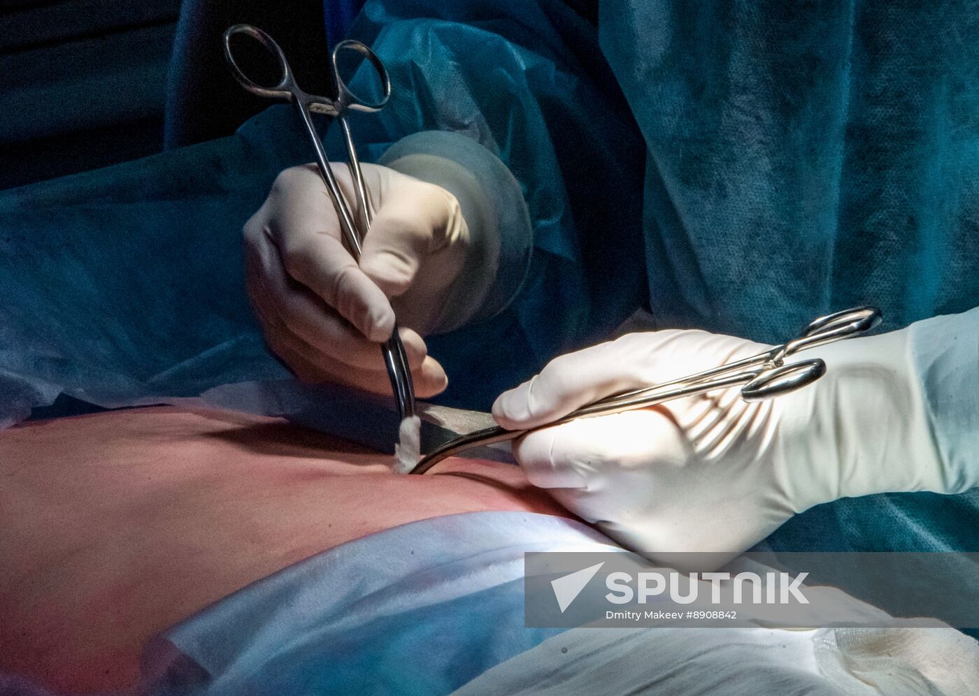 Russia Medical Education Vascular Surgery