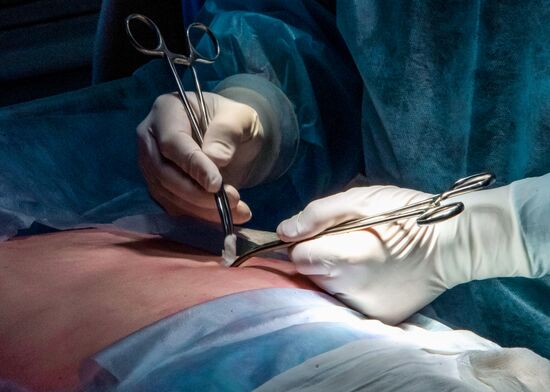 Russia Medical Education Vascular Surgery