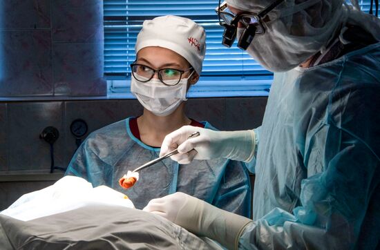 Russia Medical Education Vascular Surgery