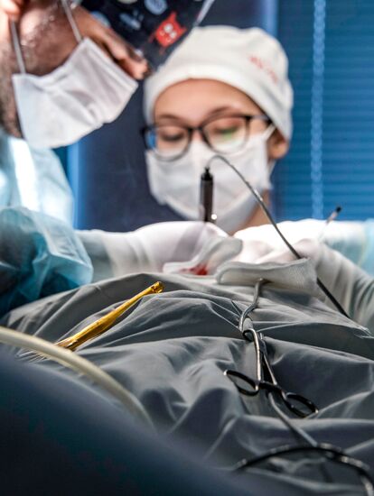 Russia Medical Education Vascular Surgery