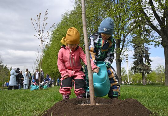 Memory Garden international campaign