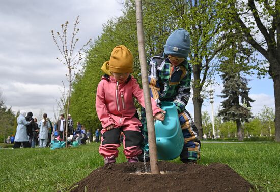 Memory Garden international campaign
