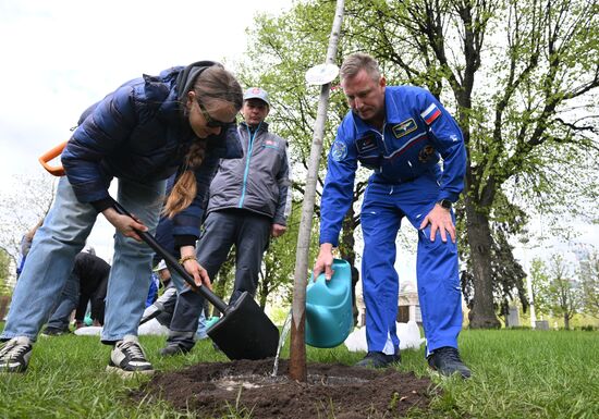 Memory Garden international campaign