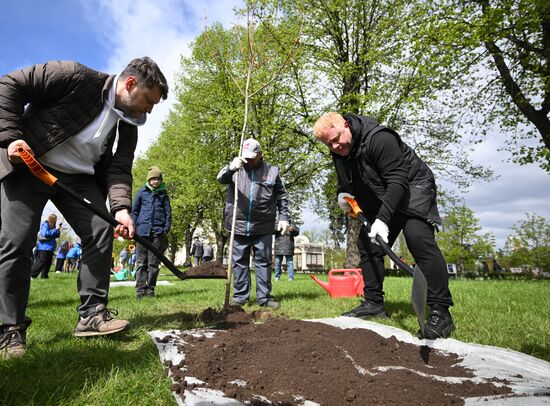 Memory Garden international campaign
