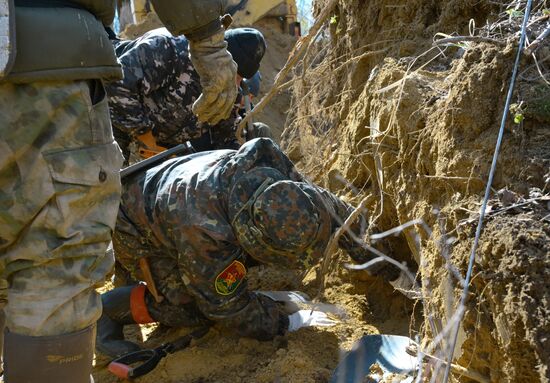 Volkhov Front: Gaitolovo search expedition