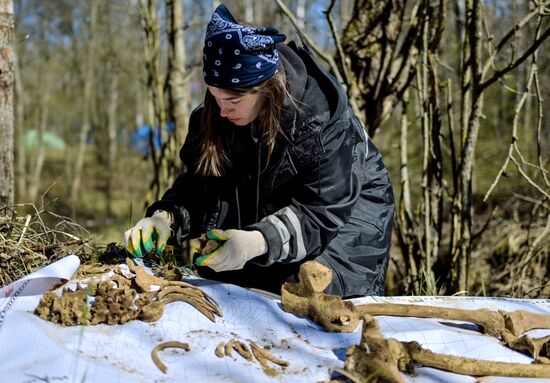 Volkhov Front: Gaitolovo search expedition