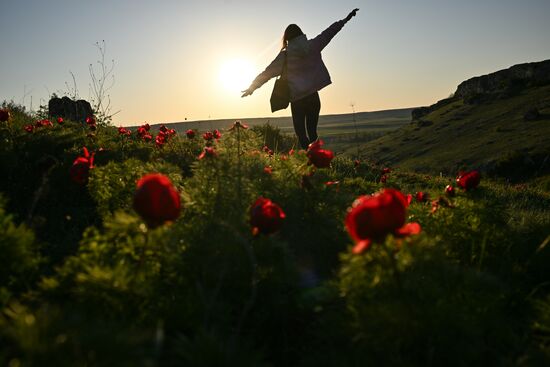 Russia Crimea Tourism