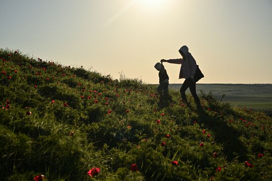 Russia Crimea Tourism