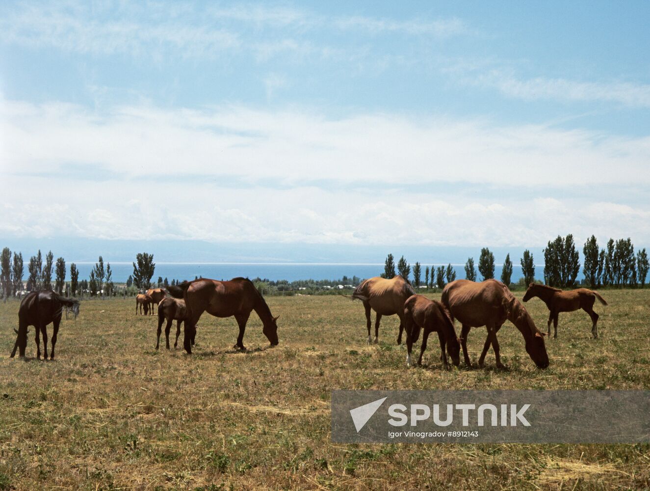 Kyrgyz SSR