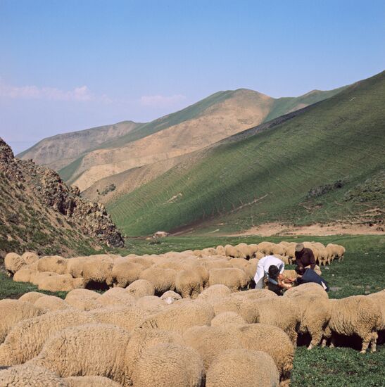 Kyrgyz SSR