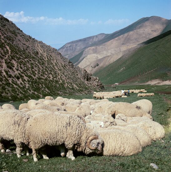 Kyrgyz SSR