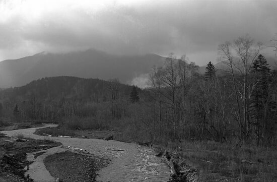 Nature on Sakhalin Island