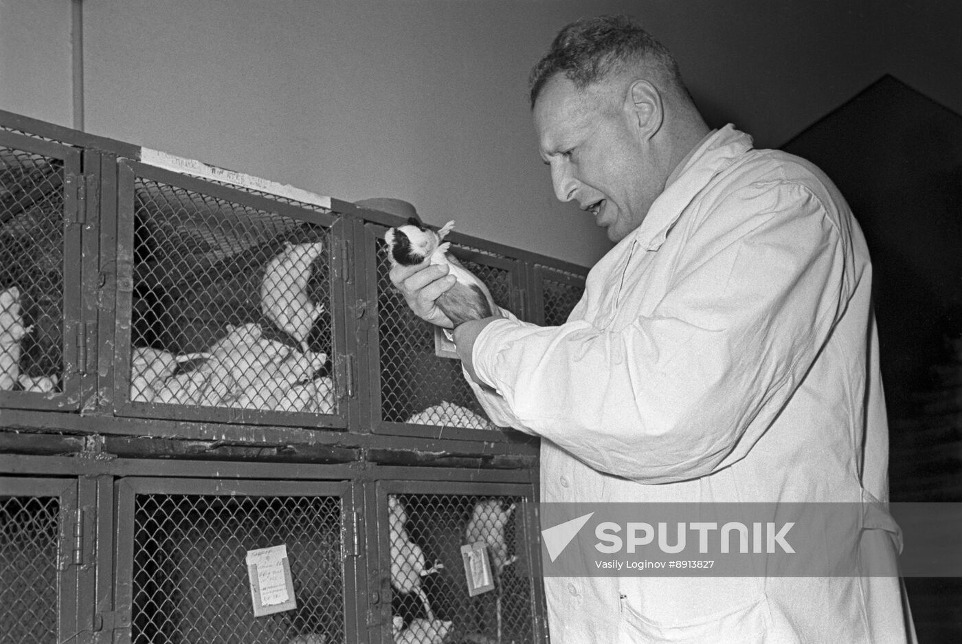 Soviet oncologist and professor Leon Shabad