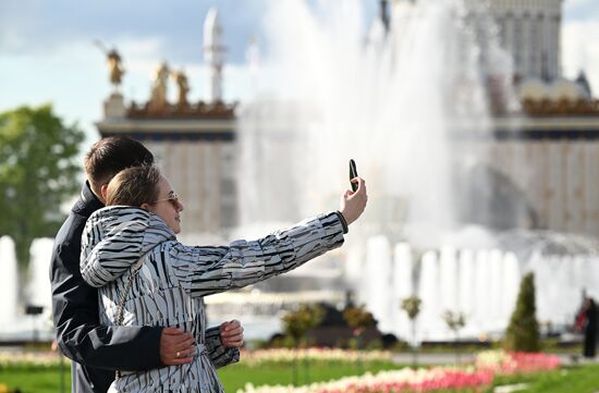 Russia Fountain Season