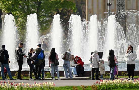 Russia Fountain Season