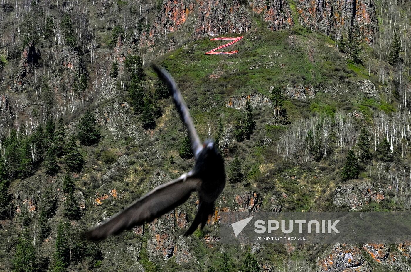 Russia St George's Ribbon Campaign