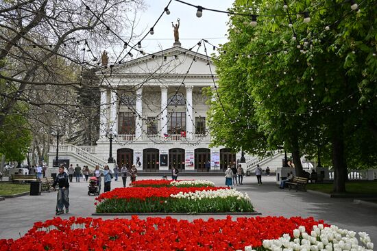 The Sevastopol Russian Drama Theater in Sevastopol. Location: Russia, Sevastopol. Author: Konstantin Mihalchevskiy/Sputnik. Hero City Sevastopol
