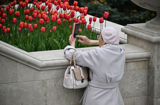 A woman taking pictures of flowers in Sevastopol. Location: Russia, Sevastopol. Author: Konstantin Mihalchevskiy/Sputnik. Hero City Sevastopol