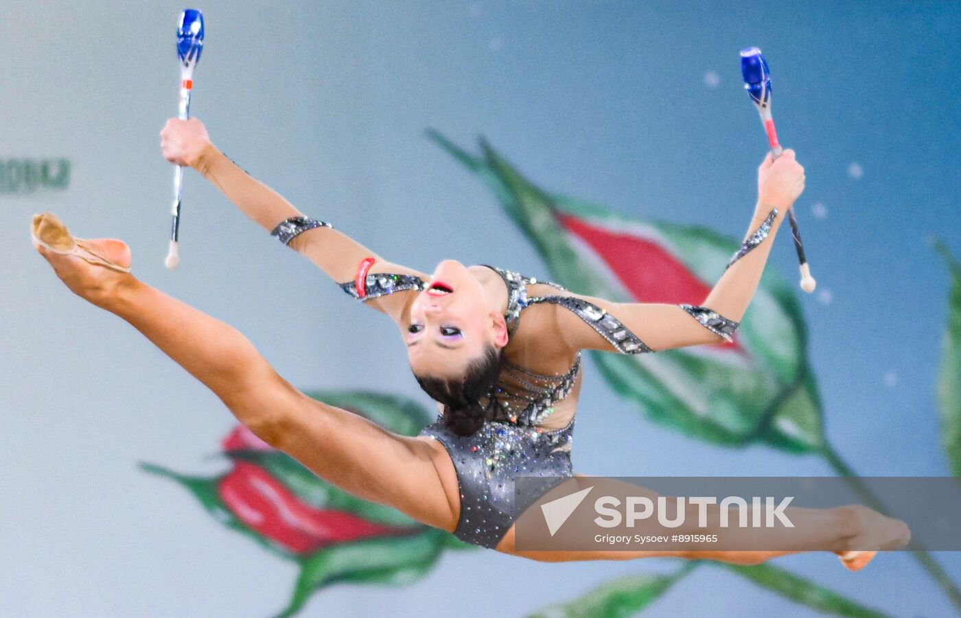 Russia Rhythmic Gymnastics Top Gymnasts Cup