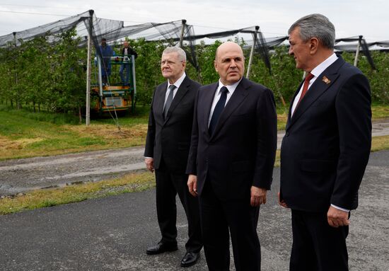 Russia Mishustin North Caucasian Federal District