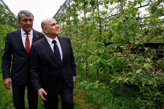 Russia Mishustin North Caucasian Federal District