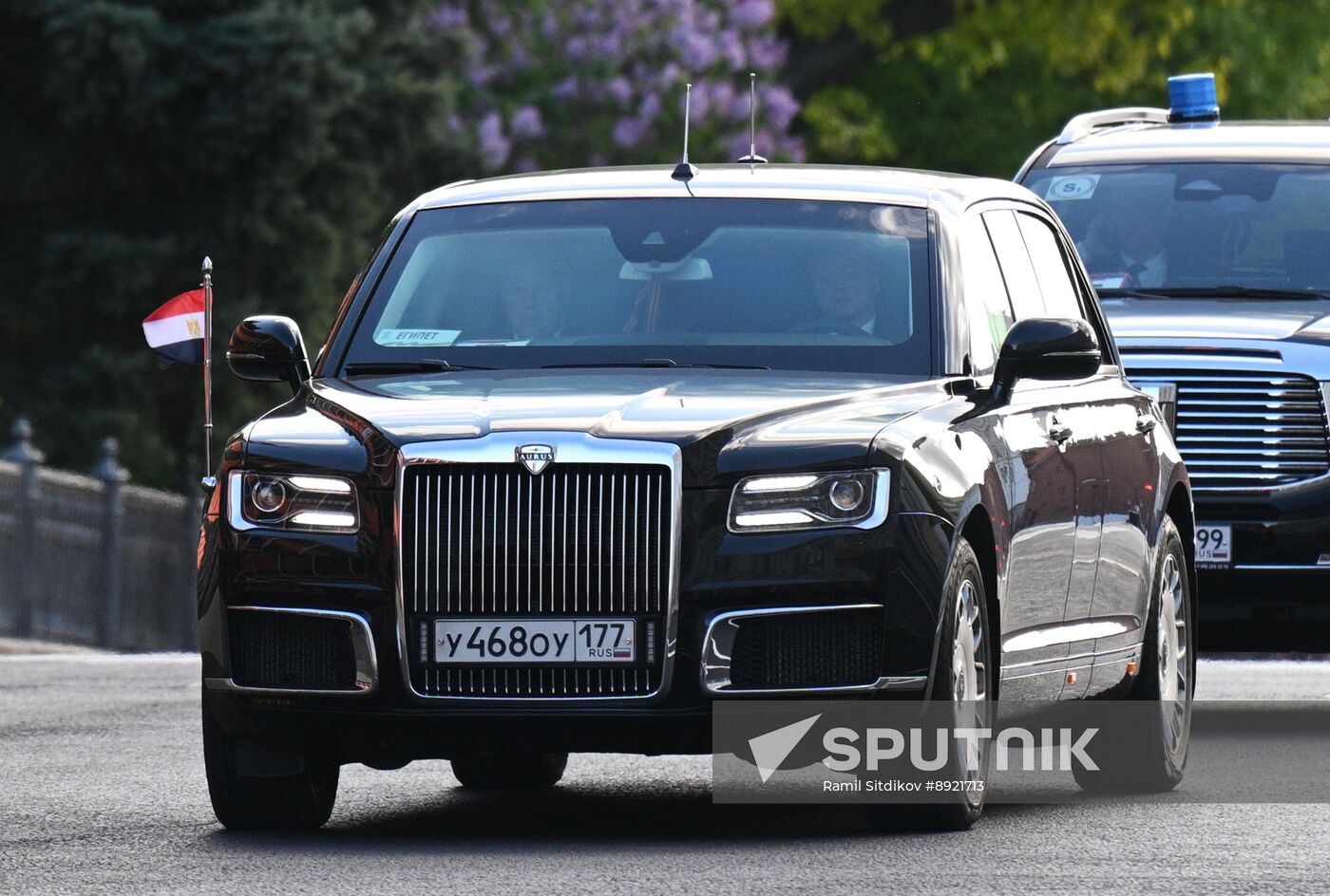 President of Russia Vladimir Putin's meeting with President of Egypt Abdel Fattah el-Sisi