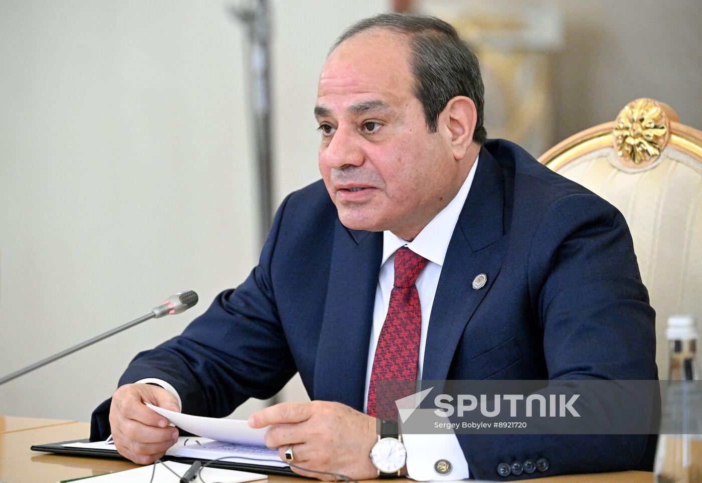 President of Russia Vladimir Putin's meeting with President of Egypt Abdel Fattah el-Sisi