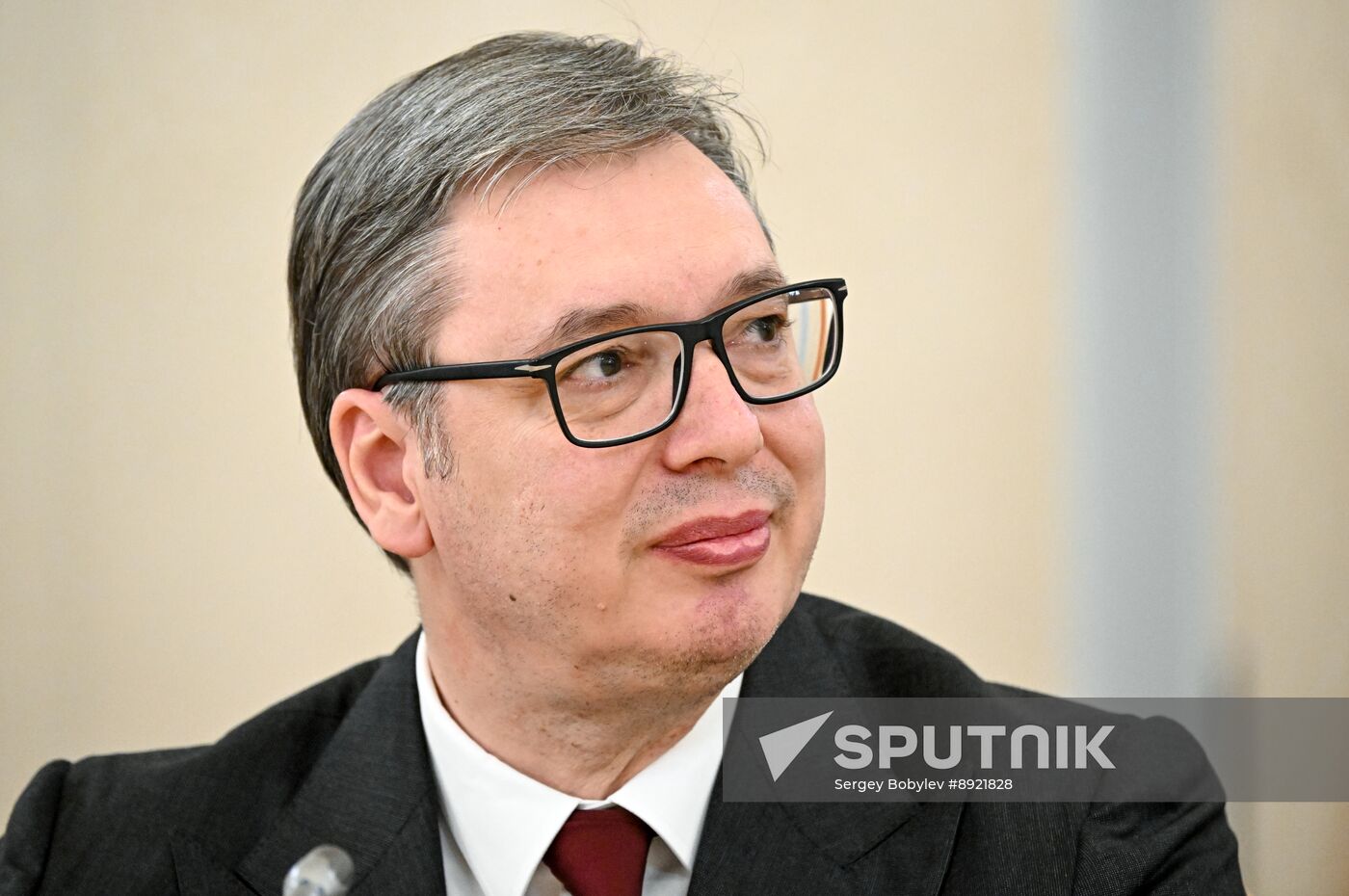 President of Russia Vladimir Putin's meeting with President of Serbia Aleksandar Vucic