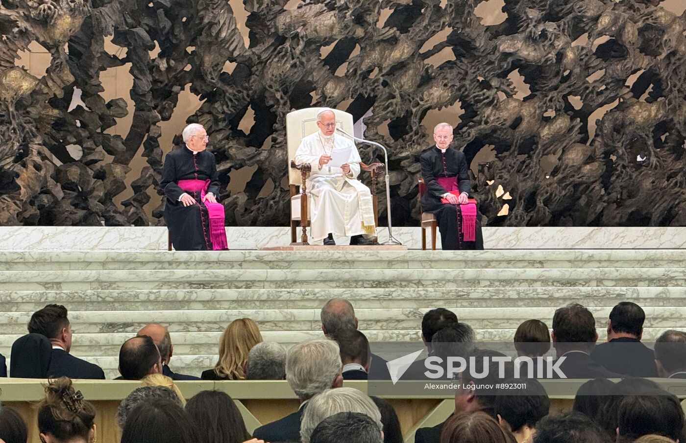Vatican Pope Leo Audience