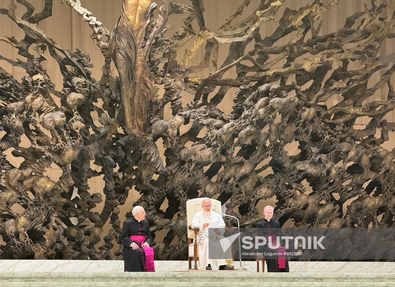 Vatican Pope Leo Audience