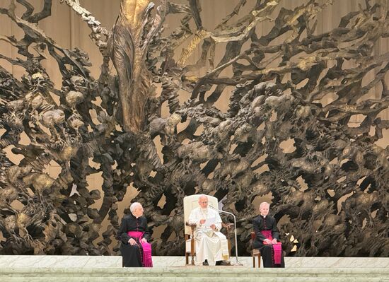 Vatican Pope Leo Audience