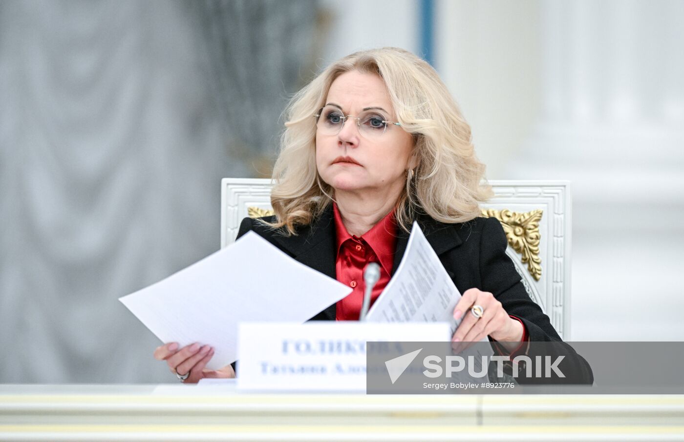 Russia Putin Theatres Trustees Board