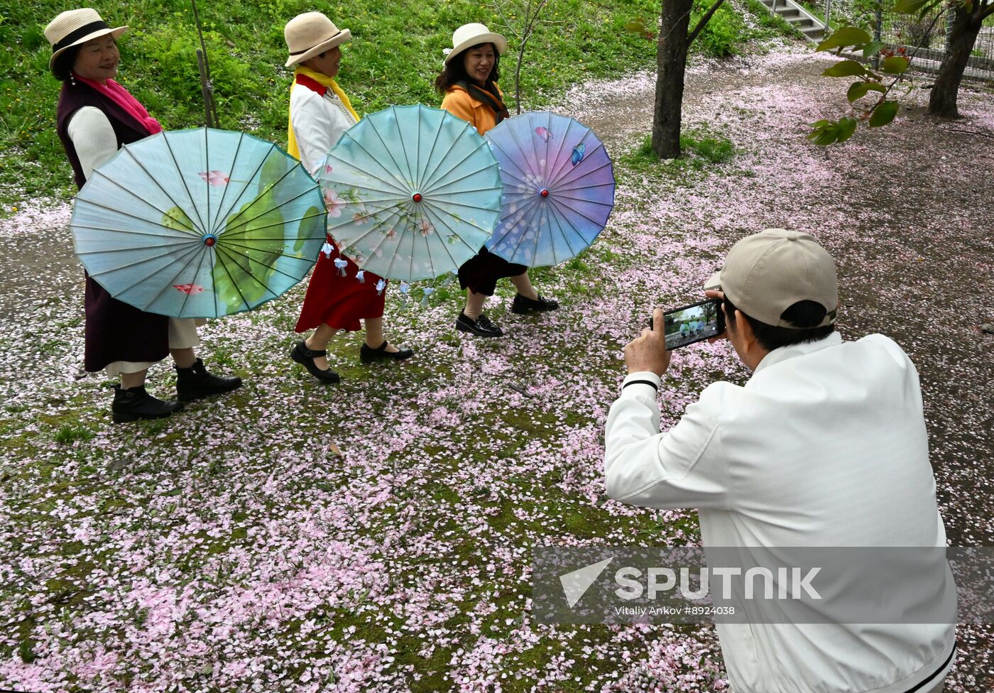 Russia Daily Life