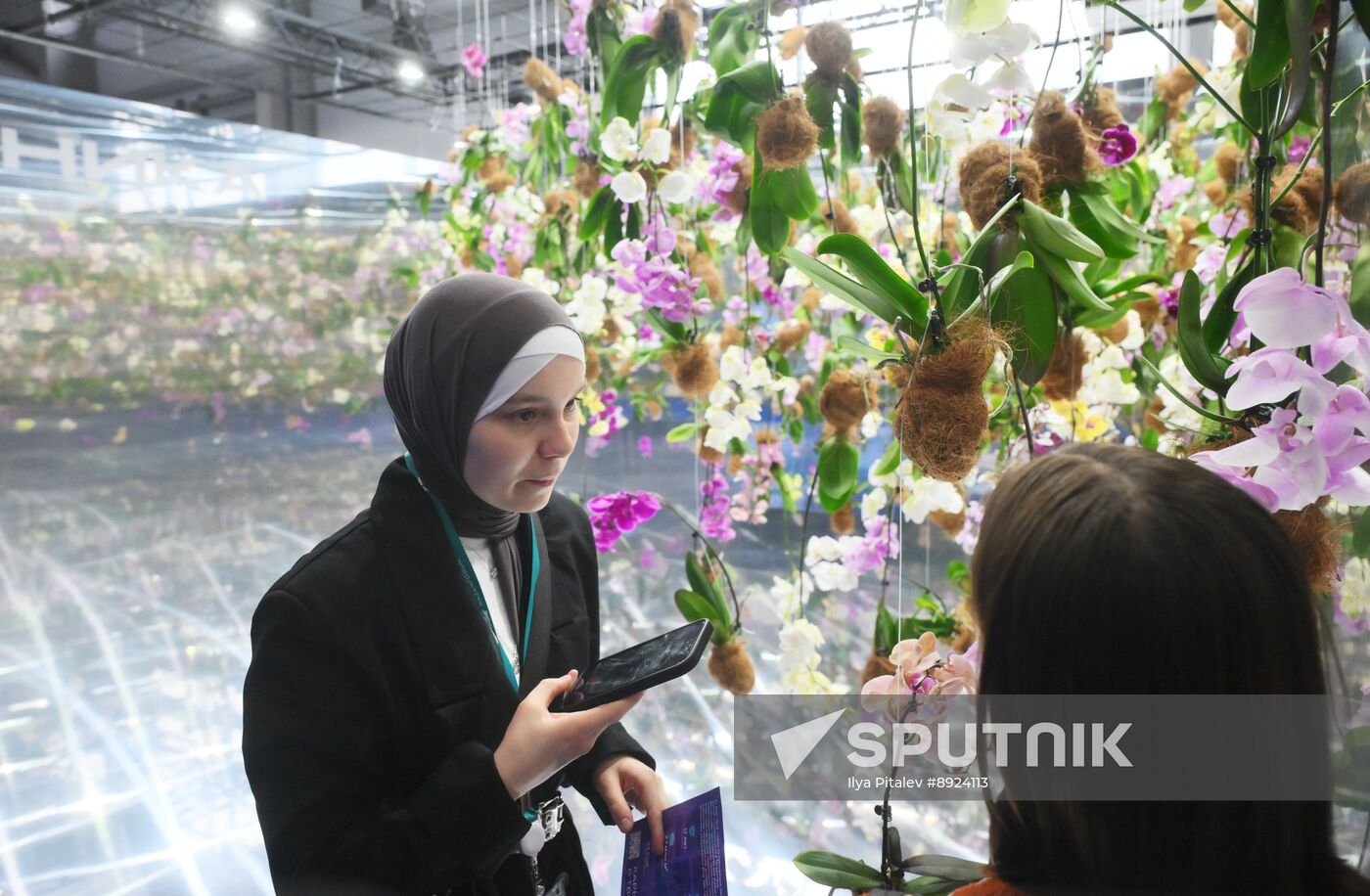 KAZANFORUM 2025. On the sidelines