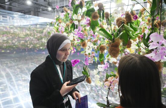 XVI International Economic Forum "RUSSIA - ISLAMIC WORLD: KAZANFORUM." Location: Russia, Republic of Tatarstan, Kazan. Author: Ilya Pitalev/Sputnik. KAZANFORUM 2025. On the sidelines