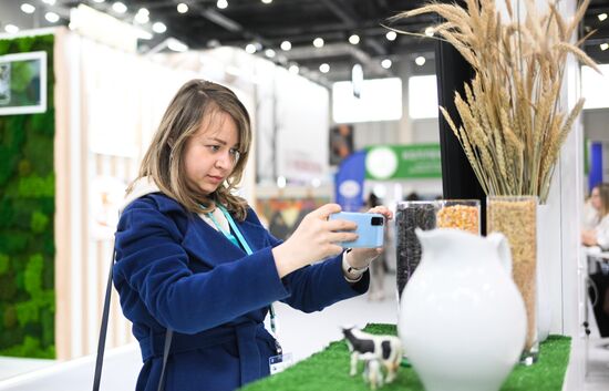 XVI International Economic Forum "RUSSIA - ISLAMIC WORLD: KAZANFORUM." Location: Russia, Republic of Tatarstan, Kazan. Author: Alexandr Kryazhev/Sputnik. KAZANFORUM 2025. On the sidelines