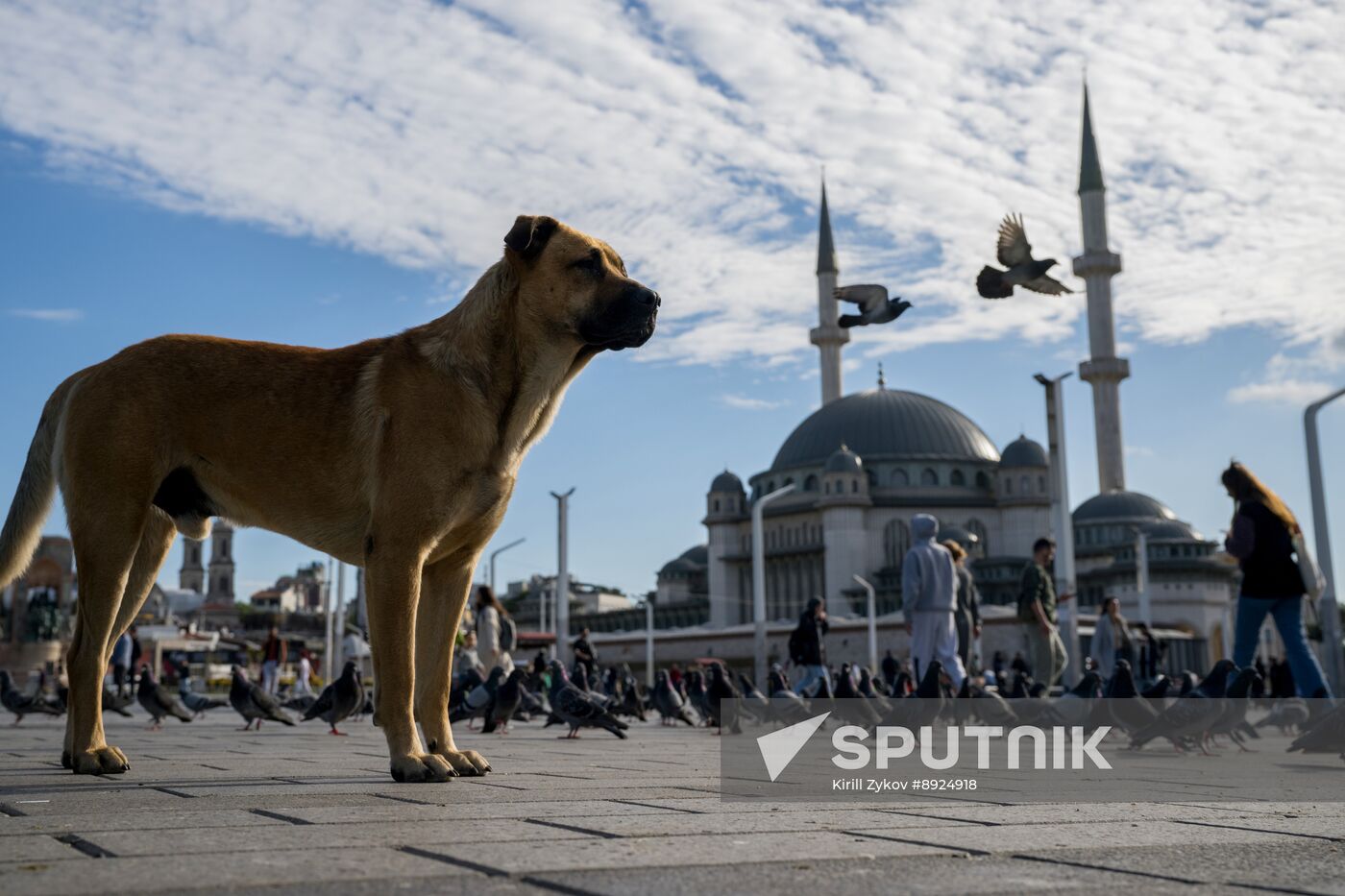 Turkey Istanbul Cityscapes