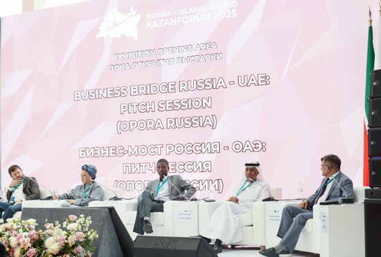 KAZANFORUM 2025. Business Bridge Russia - UAE: Pitch Session