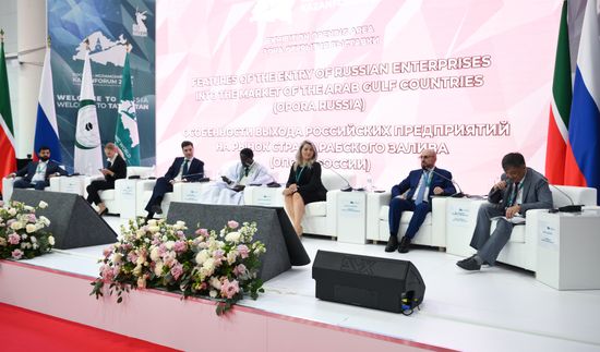 KAZANFORUM 2025. Features of the Entry of Russian Enterprises Into the Market of the Arab Gulf Countries