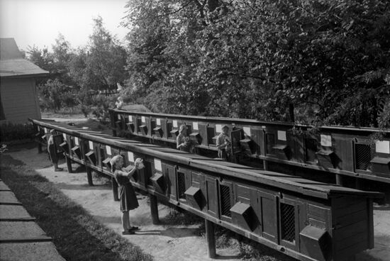 Central Station of Young Naturalists and Agricultural Experimenters